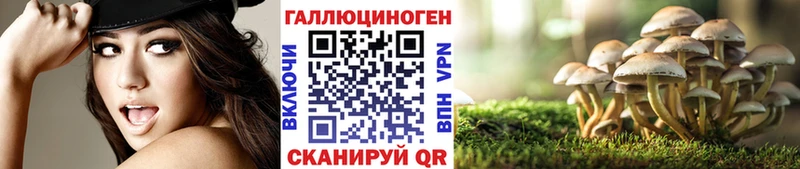 kraken   Пласт  Псилоцибиновые грибы Psilocybine cubensis 